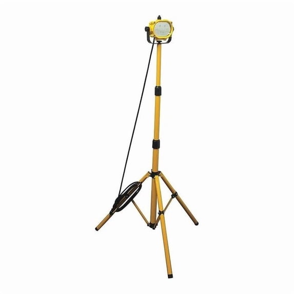 LED Temporary Job Site Light (Formerly LumaPro) 24K353