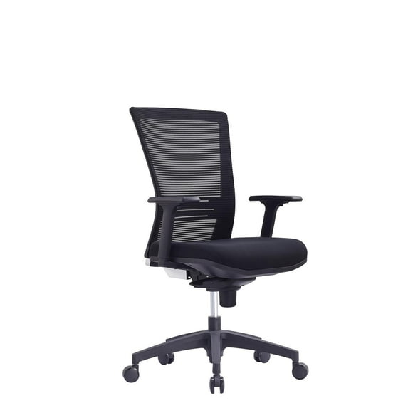 Lumary Low Back Office Chair