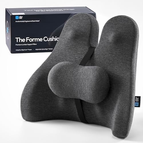 Lumbar Support Pillow for Office Chair - Lower Back Pain Relief Cushion ...