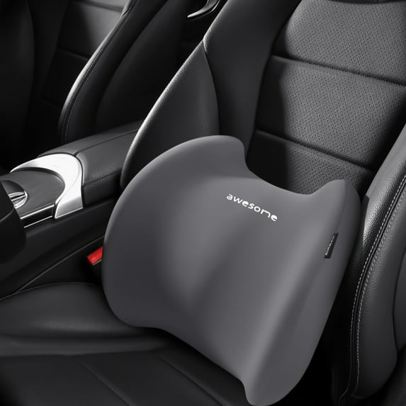 Lumbar Support Pillows Ergonomic Memory Foam for Office Chair Car Bed Back Relief 4D Mesh Cover Washable Portable Bag Universal for Lower Back Pain Comfort Travel Home Desk