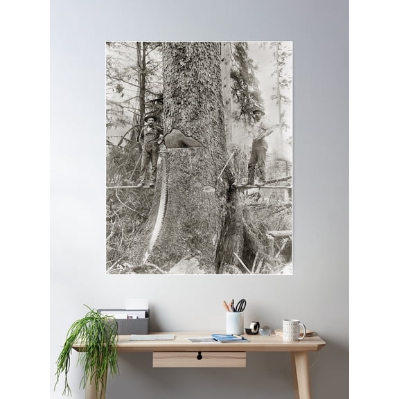 Lumberjacks With Giant Fir, 1905. Vintage Photo Poster Wall Art, Modern Wall Decor For Living Room Bedroom, 8x12 UNFRAMED