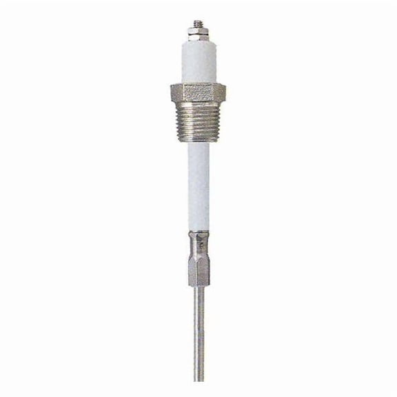 Liquid Level Probe,SS,12" Probe L,1,NPT PHST12Q12"UN