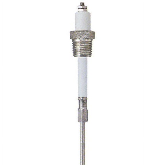Lumenite Liquid Level Probe,12 In,3/8 NPT PHST38Q12"UN