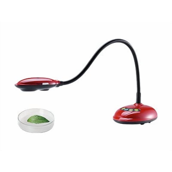 Lumens DC132U HD USB Ladibug Document Camera