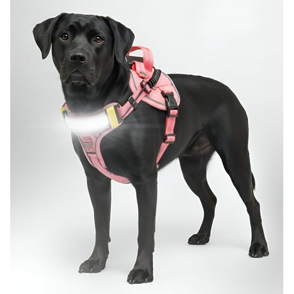 Lumi One LED Dog Harness – Light Up Dog Harness for Night Walks with 1000 Lumen LED, Rechargeable Harness, Reflective Dog Apparel, High-Visibility Pet Gear​, Patent Pending (PINK, LARGE)