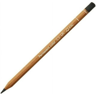 Viaana's clay and chalk Natural Bite Size Slate Pencils - 1 LB