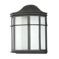 thumbnail image 1 of Luminance F7976-31 , One Light Black Lantern, 1 of 3