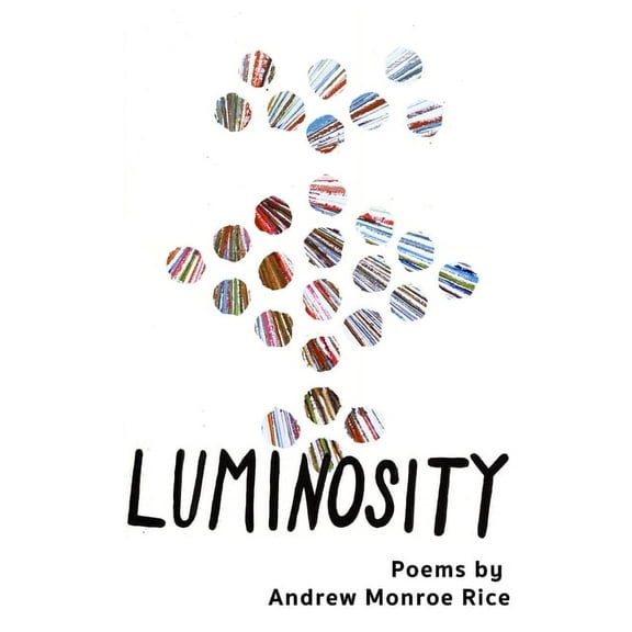 Luminosity: 28 Spiritual Poems, Ruminations & Deathbed Stories (Paperback)