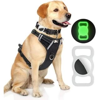 Dog harness with tag holder new arrivals