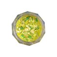 thumbnail image 1 of Luminous Dazzling Nail Art Powder with Shimmering Iridescent Glitter Mix, 1 of 5