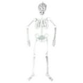 Luminous Skeleton Skeleton Body Tricky Props Courtyard Home Scene