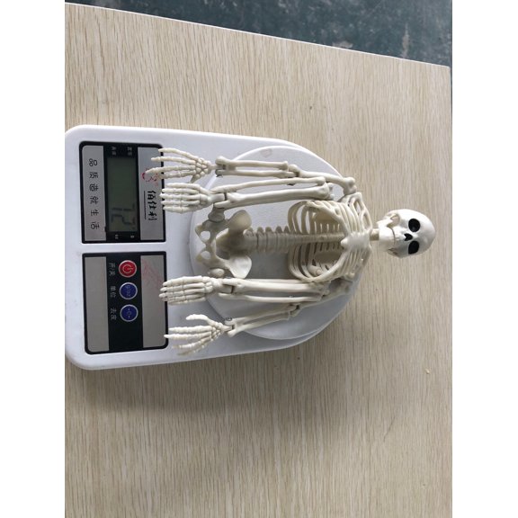 Luminous Skeleton Pendant, 16 Inch Horror Halloween Hanging Skull Decor, Glowing Skeleton Ornament for Bar KTV Scene Layout, Halloween Party Wall Hanging, Indoor Spooky Festival Decoration