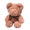 thumbnail image 1 of Luminous Valentine's Day告白 Bear Toy - Recording Function LED Light Up Plush Doll for Romantic Gift, Birthday, Party, with 10-Second Message Recordable Feature, 1 of 8