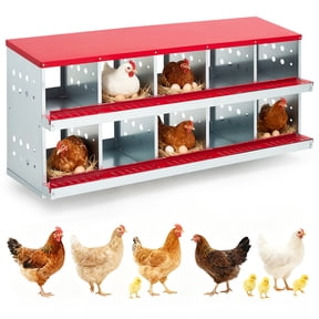 Lumiparty 10-Compartment Galvanized Steel Chicken Nesting Box with Rollaway Design, Red