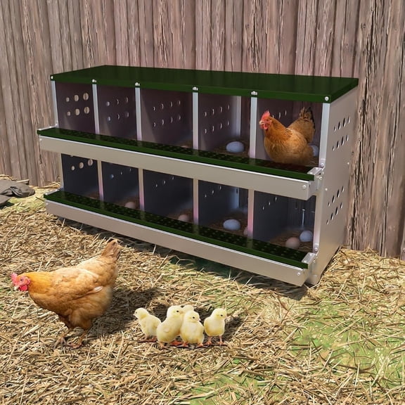 Lumiparty Chicken Nesting Box, 10 Compartment Metal Nesting Boxes for Hens Laying Eggs, Green