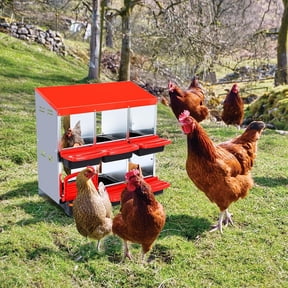 Lumiparty Chickens Nesting Boxes, 6 Compartment Roll Away Hens Nesting Box with Egg Collection, Perch, Lid Cover for Egg Protection, Red