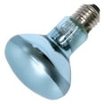 thumbnail image 1 of Lumiram 71060 - R25FL-60 Reflector Flood Daylight Full Spectrum Light Bulb, 1 of 1