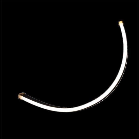 Lumishore LUM-6005132500 SNL100 Eclipse Neon Flex Light - Blue & White