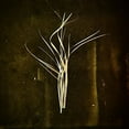 thumbnail image 1 of Lumisokea - Mnemosyne - Electronica - Vinyl, 1 of 1