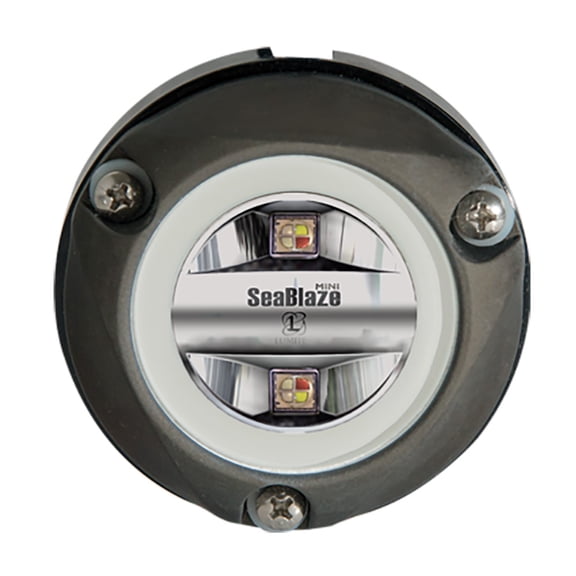 Lumitec Zambezi Mini Spectrum Pli Rgbw For Pontoon Boats Anodized Aluminum 12/24v