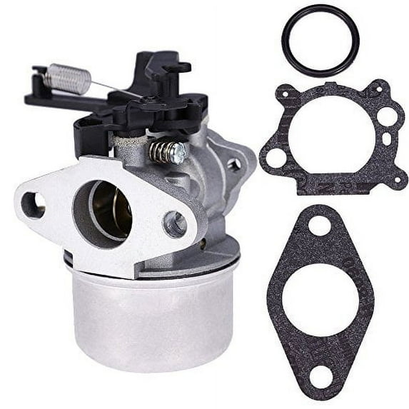 Lumix GC Carburetor For Briggs & Stratton Motors 796608