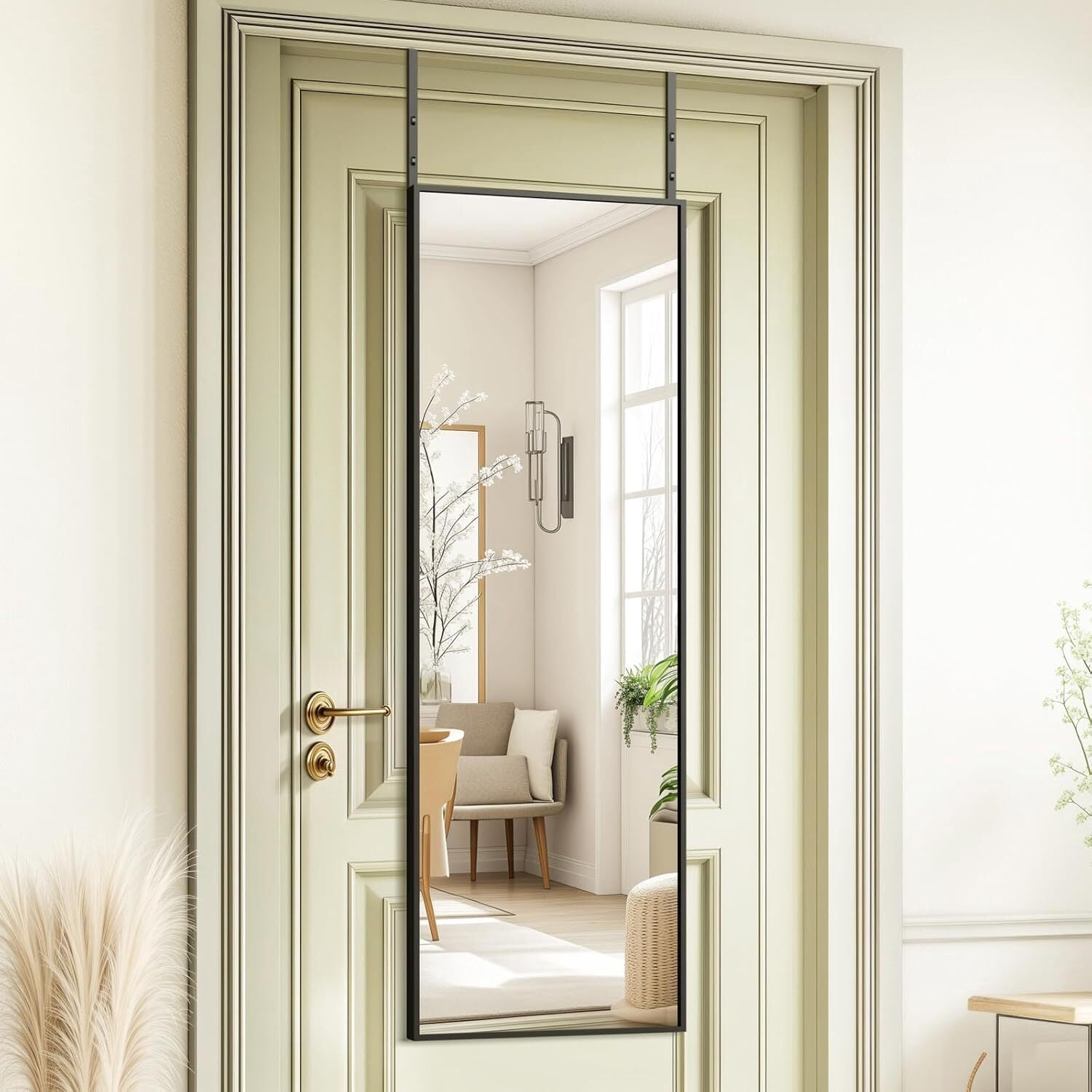 Lumora 50"x16" Door Mirror Rectangular Full Length Mirror, Black