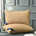 thumbnail image 1 of Lumxatz Hotel Grade Goose Feather and Down Bed Pillow, Soft Supportive Hypoallergenic Pillow for Back Side and Stomach Sleepers, Skin Friendly Cotton Cover, A, 1 of 9
