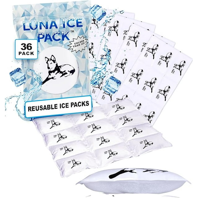 Luna Dry Ice for Shipping Frozen FoodIce Packs ShippingCold Pack