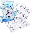 thumbnail image 1 of Luna Ice Gel Ice Packs - Dry Ice for Shipping Frozen Food, Lunch Bags & Injuries - Reusable & Long-Lasting Cold Packs for Coolers, Ice Bag for Shipping Frozen Food - Dry Ice Packs (12 Pack), 1 of 3