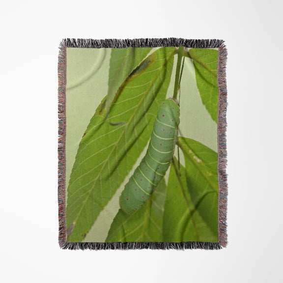 Luna Moth Caterpillar On A Hickory Tree, Carya Sp. Marion Co. Il, Woven Blanket