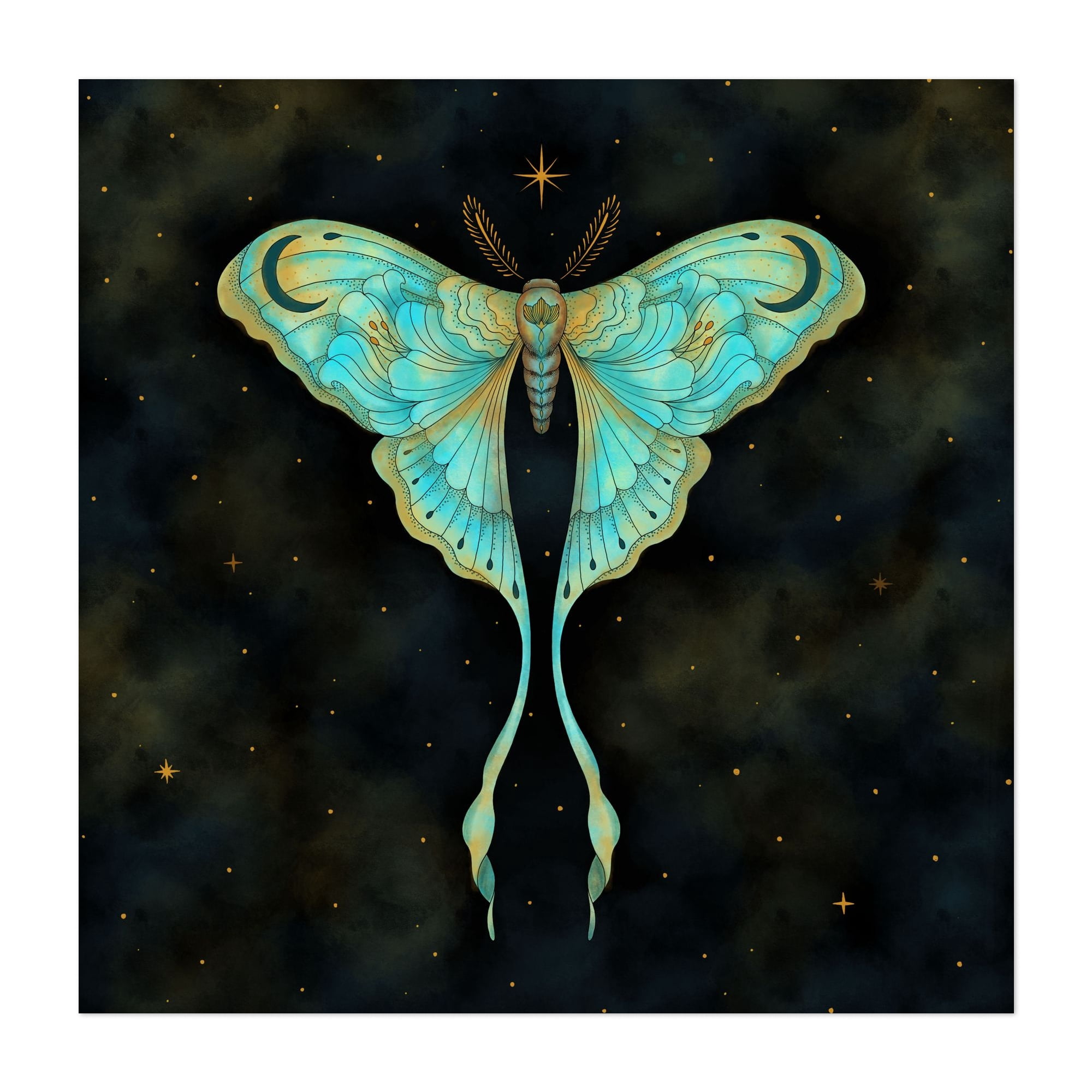 Luna Moth - Digital Art Butterfly Fantasy Mystical Night Sky Insect ...