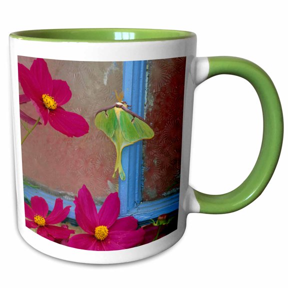 3drose, Luna Moth Insect on Old Window with Cosmos - Na01 Bja0020 - Jaynes Gallery, 11oz Two-tone Green Mug