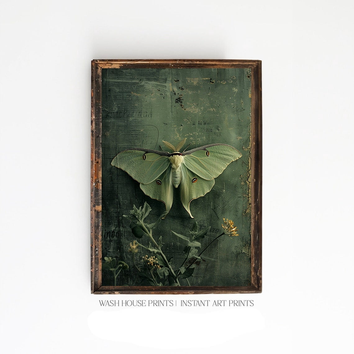 Luna Moth Poster, Dark Cottagecore Wall Art, Dark Botanical Posters ...