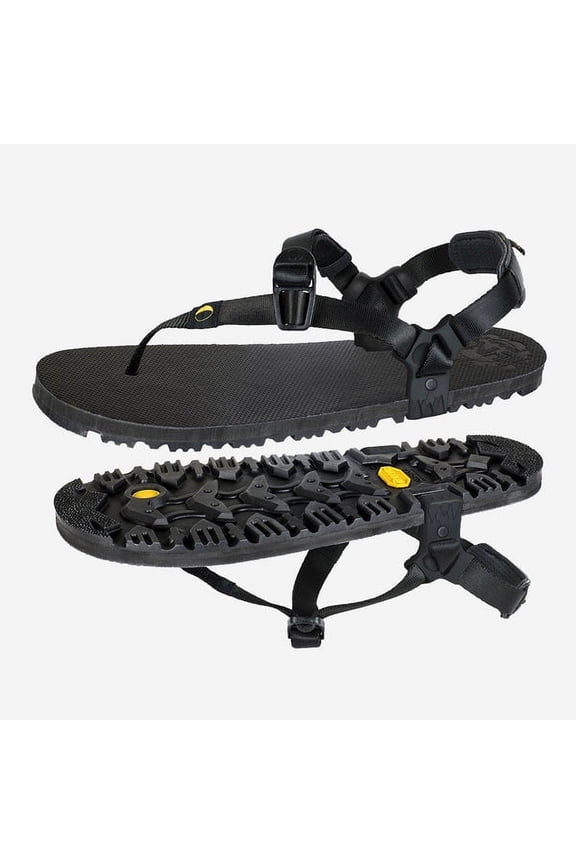 Middle Bear Winged Edition Color: Black, Size: M5/W7