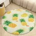 thumbnail image 1 of Lunarable Pineapple Round Small Area Rug, Print Non Slip Washable Floor Mat, Soft Throw Rug for Living Room, Powder Room Entryway, Bathroom, Bedside, 1 of 6