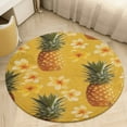 thumbnail image 1 of Lunarable Pineapple Round Small Area Rug, Print Non Slip Washable Floor Mat, Soft Throw Rug for Living Room, Powder Room Entryway, Bathroom, Bedside, 1 of 6