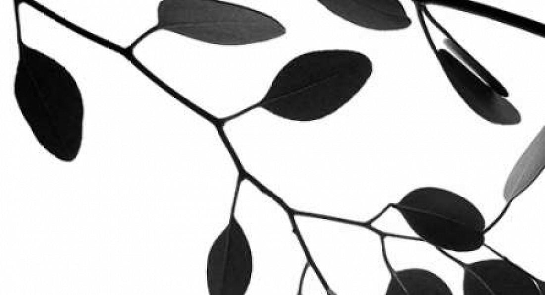 Lunaria Honesty III Canvas Art - Monika Burkhart (12 x 18)