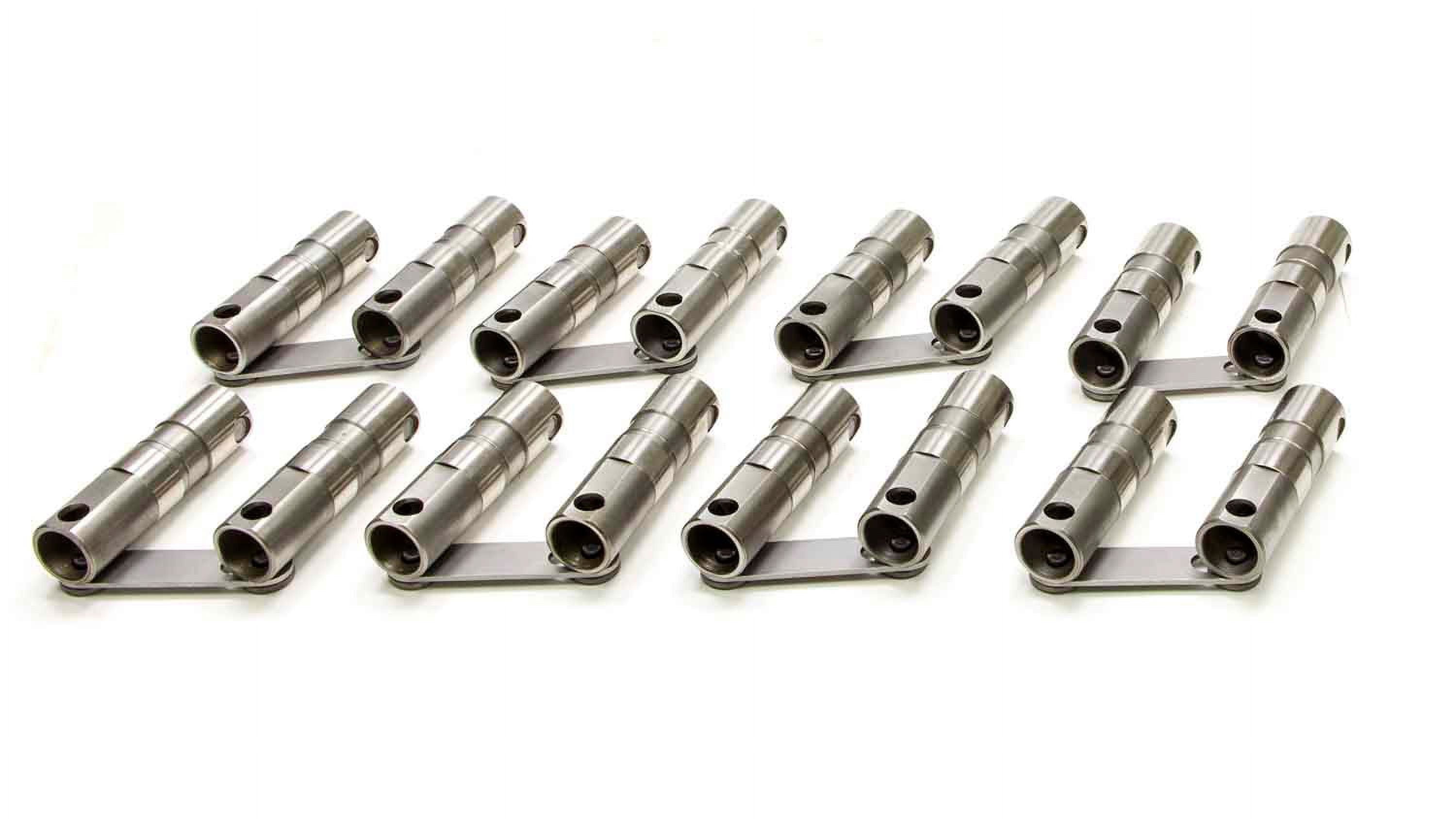 Lunati RetroFit Hydraulic Roller Lifters