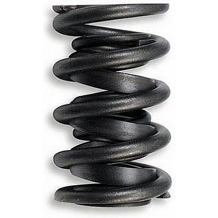 Lunati Valve Spring Kit 1.450 Lunati Valve Spring Kit 1.450