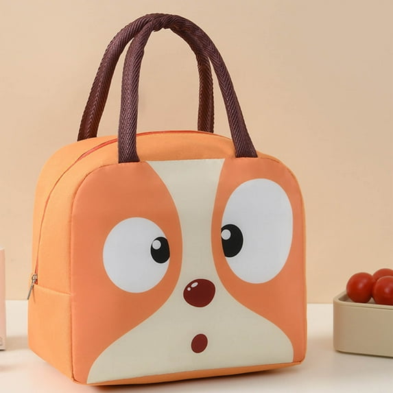 Lunch Bag under $5! Yannianjz Portable Lunch Bag, Cute Reusable Lunch Box for Picnic Leakproof Lunch Tote Handbag