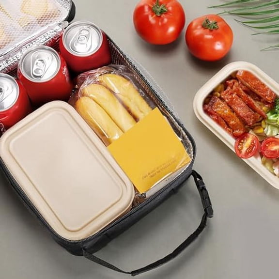 Lunch Bag for Men Women Capacity Lunchbox Reusable Lunch Bags(Blue)
