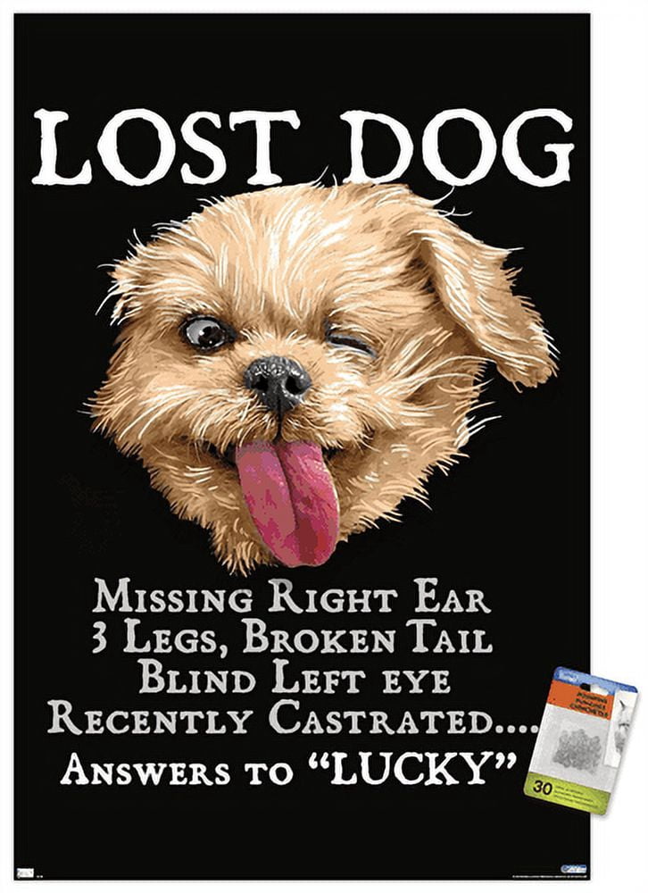 Lunch Hour Productions - Gravity Keeping Me Down Wall Poster, 14.725" x 22.375"