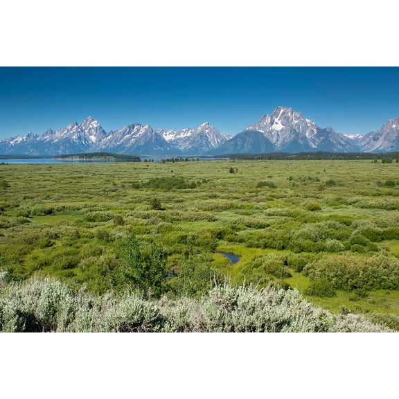 Lunch Tree Hill-Grand Teton National Park-Wyoming-Usa. Poster Print - Roddy Scheer (36 x 24)