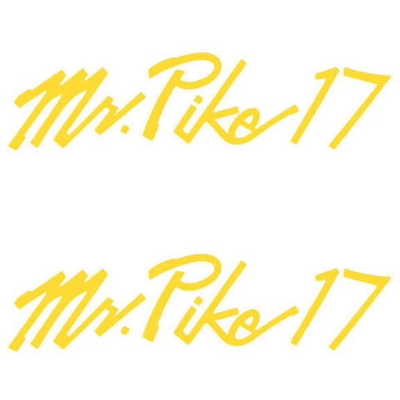 Lund Boat Letter Decal 1987940 | Yellow 2003 Mr. Pike 17 (Pair)