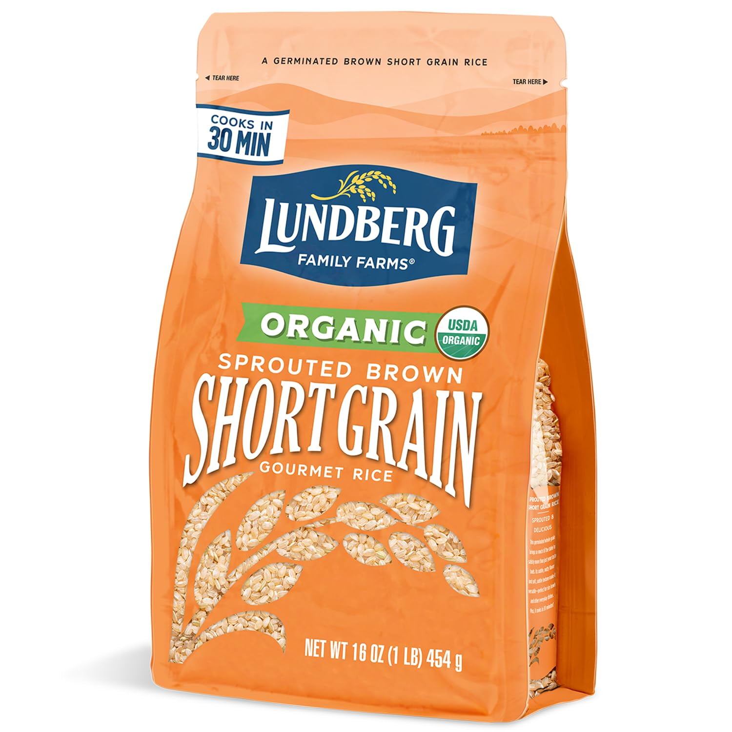 Lundberg Family Farms Organic Sprouted Short Grain Brown Rice - 6 ct