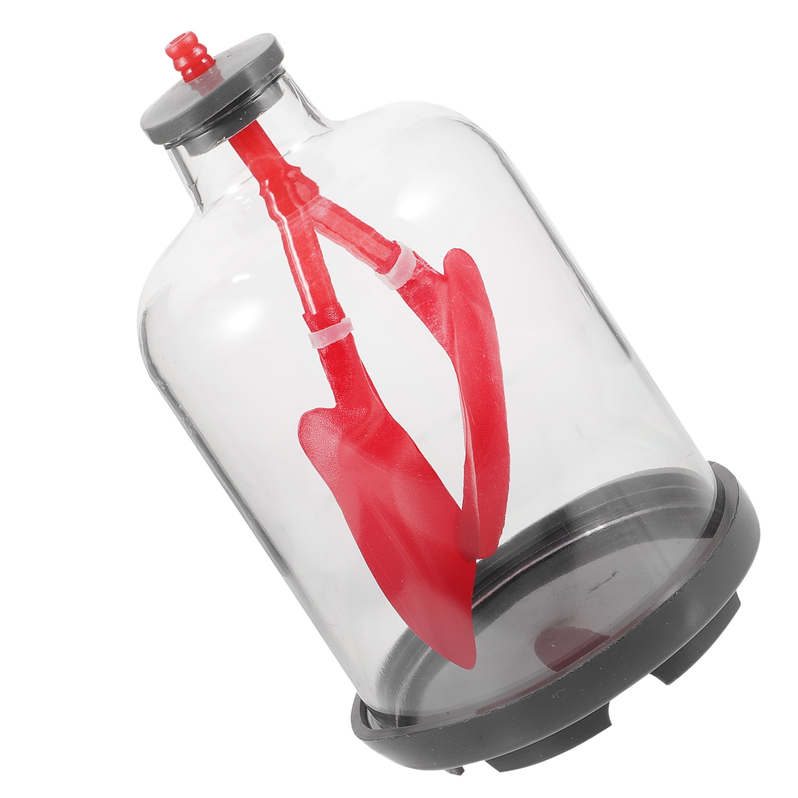 Lung Breathing Model Function Demonstration Teaching Aid Models Kids Gift Respiratory System Anatomical Muscle Work