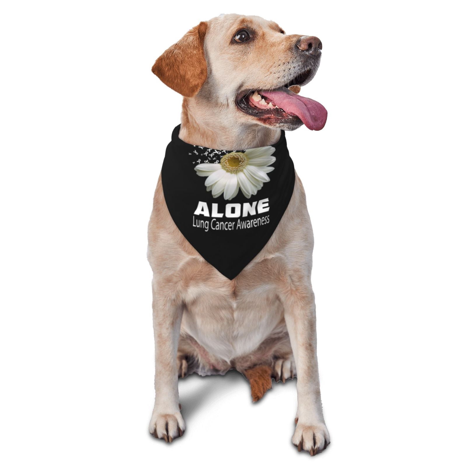 Hunde-Bandana „Bitte Fragen Vor Dem Streicheln“ – 2 Stück, Polyester, Für Mittelgroße & Große Hunde