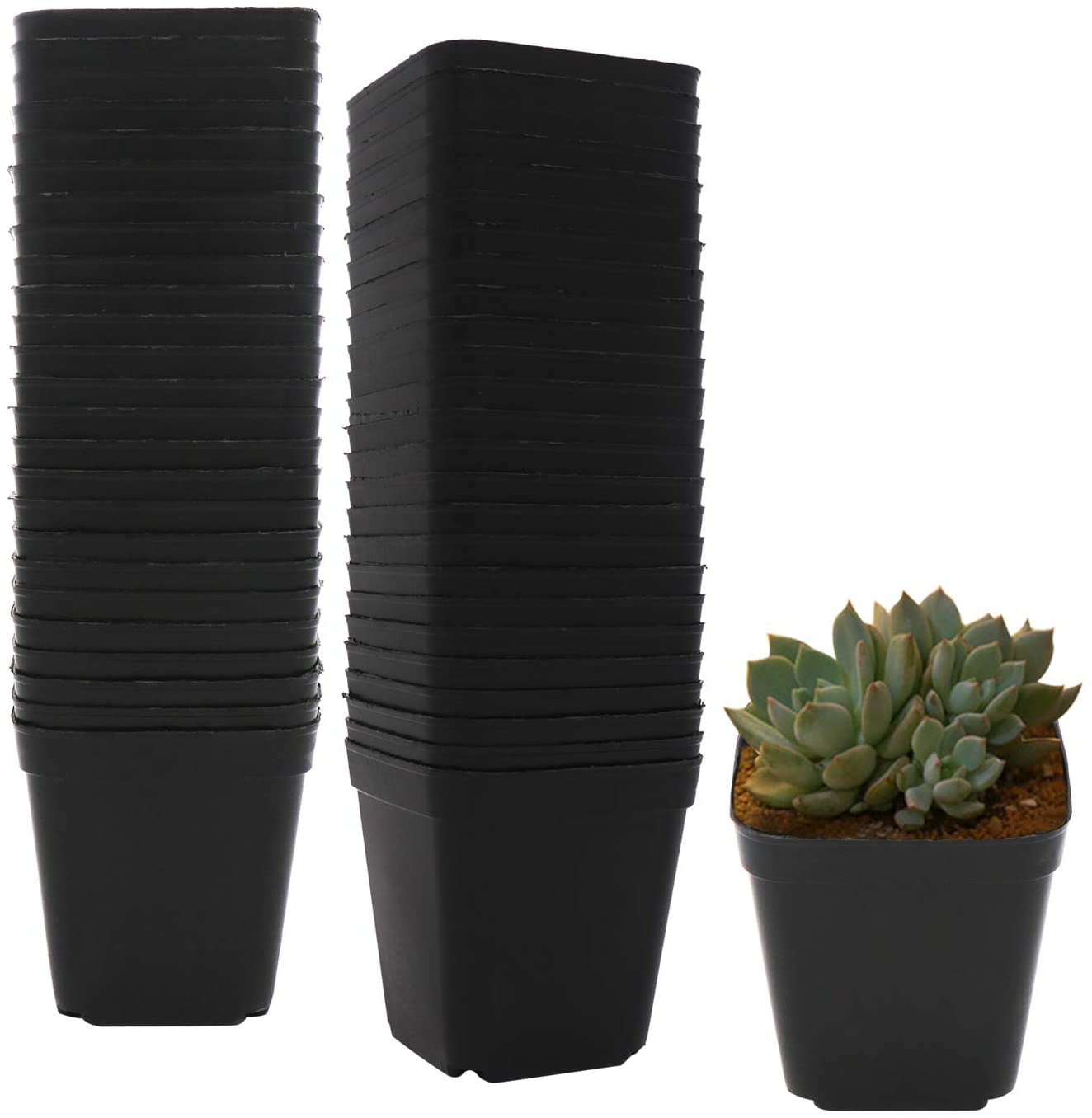 50 PCS Black Plastic Square Plant Pots for Succulents
