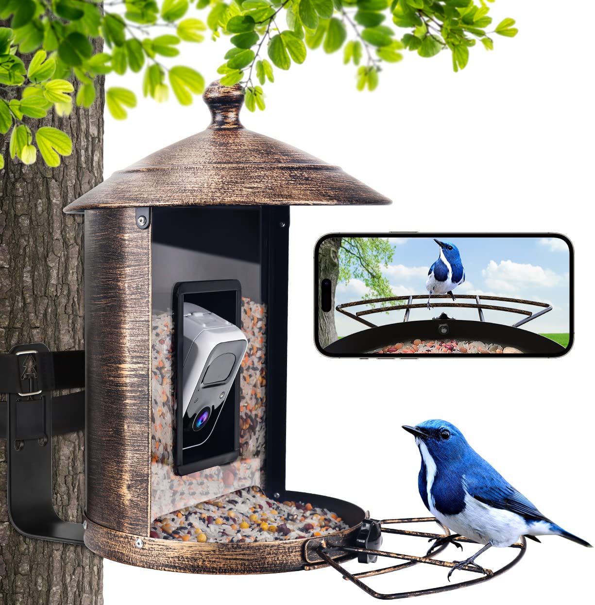Luniquz Smart Bird Feeder with 1080P HD Camera, Automatic Bird Capture