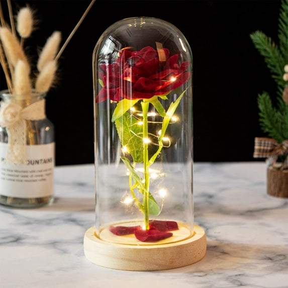 Lunxisen 2 Pcs Light Up Rose in Glass Dome, for Women,Birthday Anniversary Flower Lighted Roses Gifts for Wife